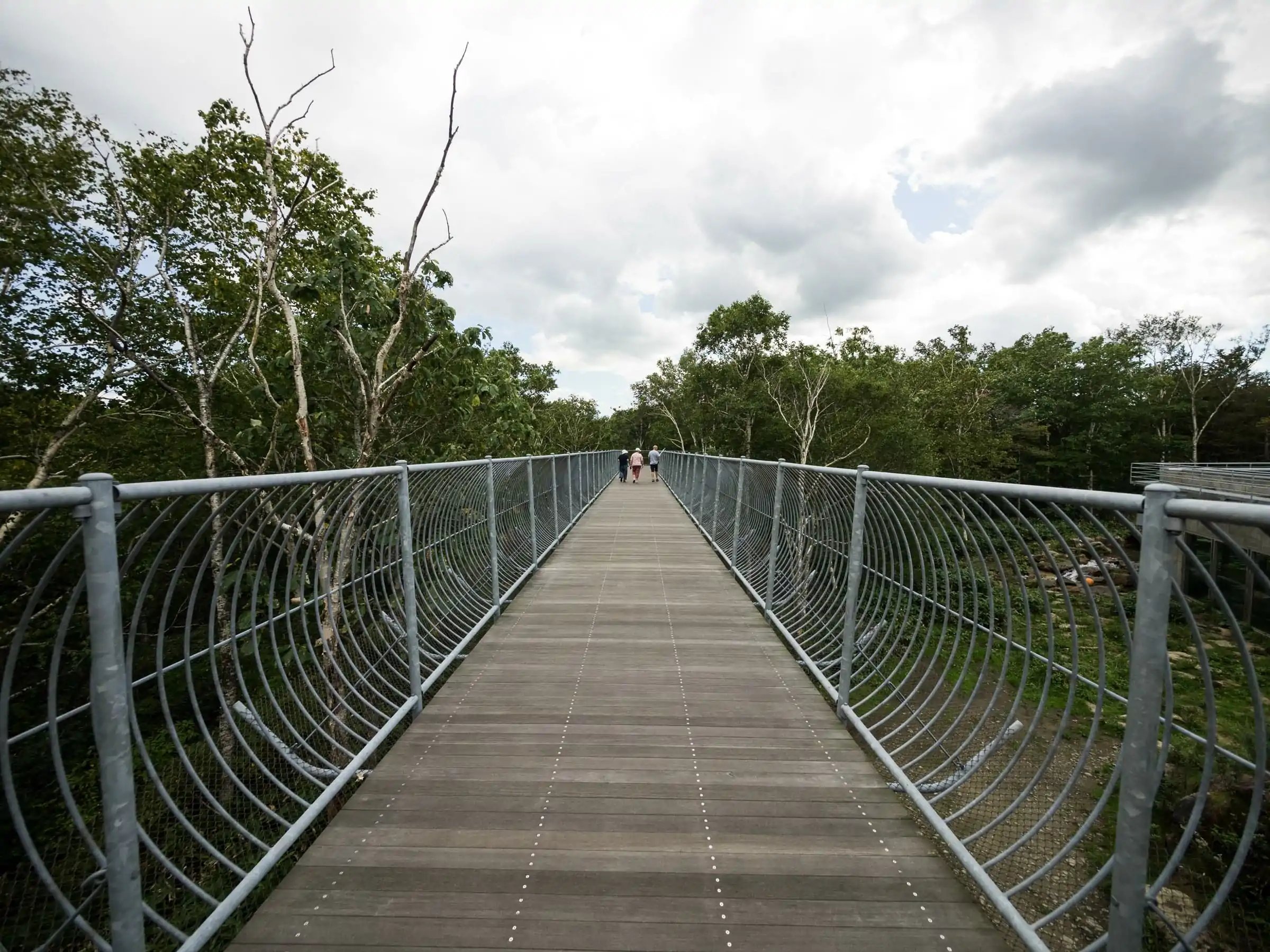 🐻 곰 산(사호로 리조트 베어 마운틴) 이미지 5